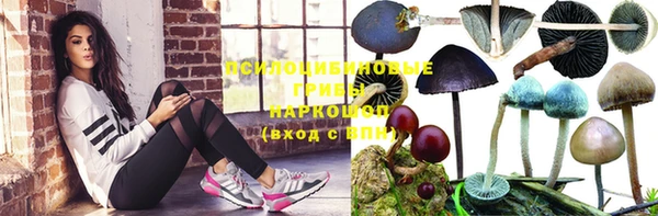 бошки Богородск