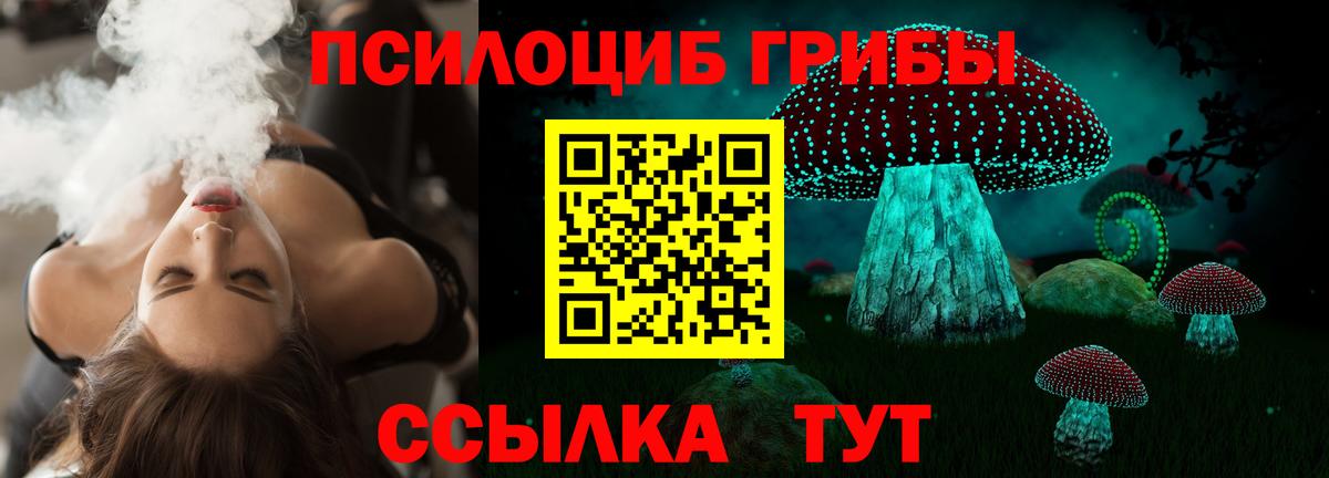 Галлюциногенные грибы Cubensis  Вход с VPN  Среднеуральск 